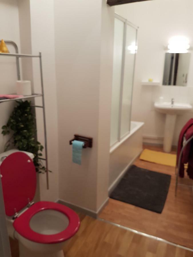 Appartement Du Vieux Troyes Dış mekan fotoğraf